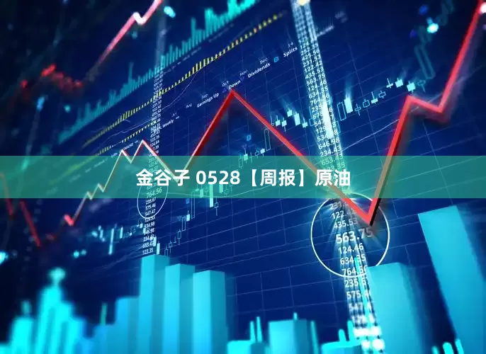 金谷子 0528【周报】原油