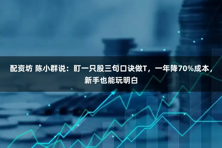 配资坊 陈小群说：盯一只股三句口诀做T，一年降70%成本，新手也能玩明白