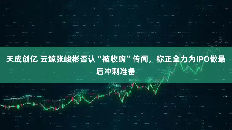 天成创亿 云鲸张峻彬否认“被收购”传闻，称正全力为IPO做最后冲刺准备